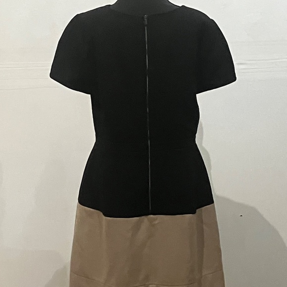 BCBG Black/Tan Colorblock Shift Dress - Picture 4 of 14